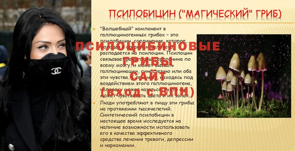 стафф Баксан